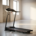2.5 HP Black Stainless Steel Folable Electric Treadmill with Bluetooth Music, 5 In. LCD Display and Heart Rate Sensor